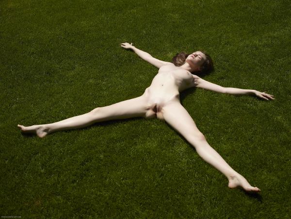 Il giardino segreto di Emily #102