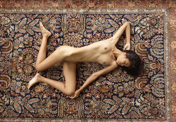 Noody lidojošs paklājs #17